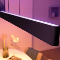 Riippuvalaisin Philips Hue Ensis 2x39W 24V, musta