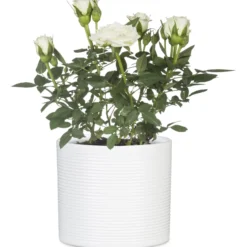 Ruukku Scheurich 828 12 cm valkoinen