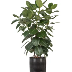 Ruukku Scheurich 828/14 harmaa