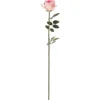 Ruusu Kotikulta 59 cm vaaleanpunainen