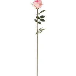 Ruusu Kotikulta 59 cm vaaleanpunainen