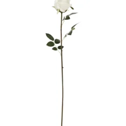 Ruusu Kotikulta 59 cm valkoinen