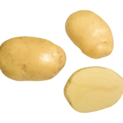 Siemenperuna Siikli 2,5 kg