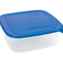 Säilytysrasia Curver Fresh&Go 2,9 L neliö