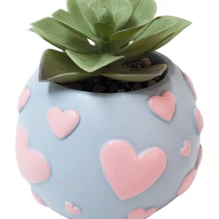 Tekokasvi ruukussa Miny sydän