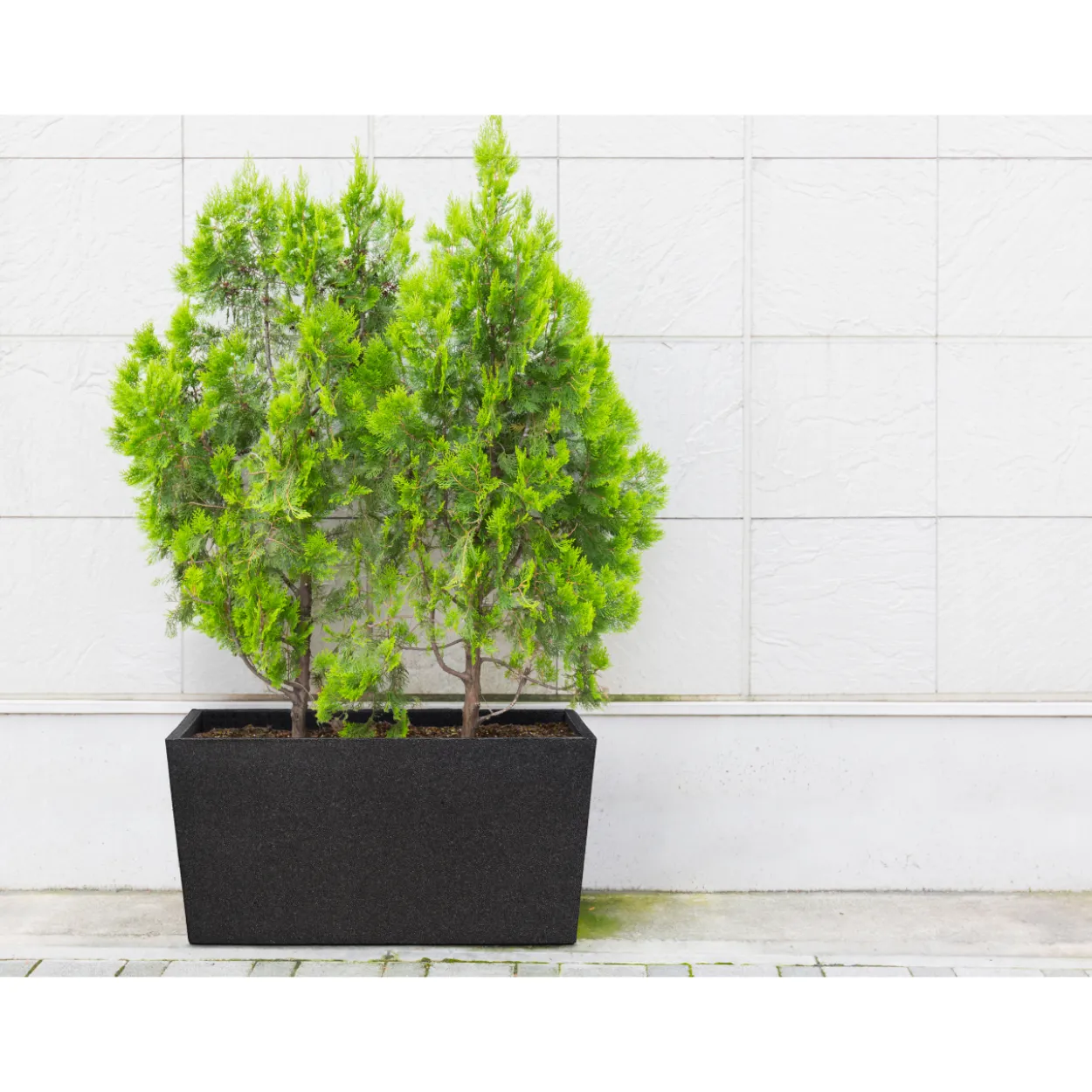 Termoruukku 4Living Patio 76 cm musta
