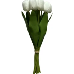 Tulppaani Kotikulta 9 kpl