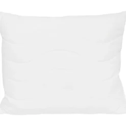 Tyyny Lifestyle Interior 50 x 60 cm Aloe Vera tikattu