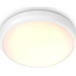 Ulkokattovalaisin Philips Doris valkoinen 6W 27K IP54