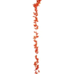 Vaahteraköynnös Kotikulta 180 cm