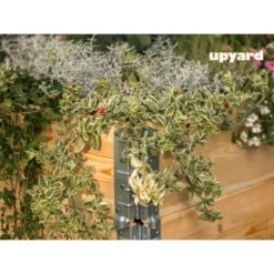 Viljelylaatikko Upyard Gardenbox 80x60 cm, käsittelemätön